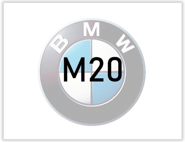 Vevstake M20