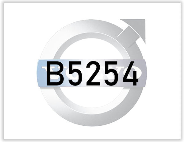 Vevstake B5254